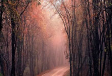 天涯论坛最惊人的十大神贴