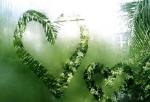 婆媳论坛天涯社区：家庭和睦的桥梁